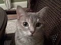 Mar 31 2008 - VID00001