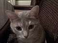 Mar 31 2008 - VID00001
