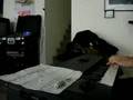 Under A Glass Moon keyboard solo