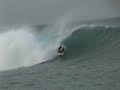 More Mentawais