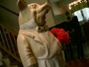 In the small town of Malta NY, Life seems so ordinary. Nothing ever goes wrong in the most boring town in America. A freindly neighboorhood that was about to see the equivelent of Hell. Deep in a battle against his own sanity, local resident alfred porker (Alex Clements) is convinced his favorite pig statue 