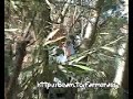AK m�der indk�bsvogn
