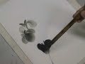 Iris Sumi-e ink Drawing