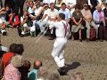 Dartington Morris Ring Meeting 2008 (4)