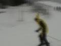 Monkey-Madness-2