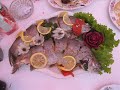 BSYG - Seghaner Arad BSYG - Seghaner Arad