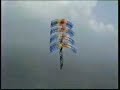 505th Search and Rescue Group PAF Skydivers