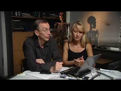 Neanderthal - Modern humans have about 1 to 3% Neanderthal DNA and some Denisovan DNA. Australian Aborigines have the highest proportion of Denisovan DNA, at about 4 to 6%...