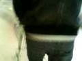 videos de pedro magasin.3GP