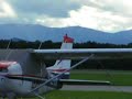 Falke steht im Wind