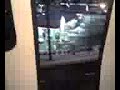 skytrain door open