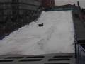 videos de Potsdamer Plaza Sledding