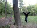 videos de Wallspin