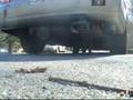 Engines revving