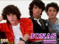 videos de Jonas Love Triangle - (Story)- Chapter 45
