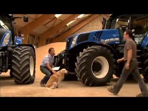 Guarda il video