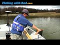 A Good Sized Rainbow Trout A Good Sized Rainbow Trout