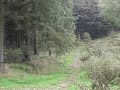 Country Walking - Macclesfield Walk
