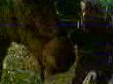 Shir Khan2
