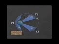 FreedomUniversity.ning.com, john@e-liteworks.com, 719-963-5873. A short video on Kepler's three laws. For more information on orbital mechanics, please contact me at above coordinates or visit FreedomUniverisity.ning.com