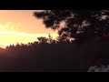 06 30 Clip #31
