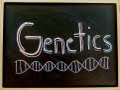 Genetics