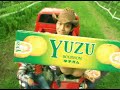 Bourbon gum cm