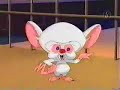Pinky & cerebro