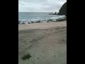 Shimoda3,,