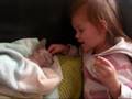 videos de Develly zingt poesje mauw voor Devol