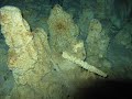 Riviera Maya cave diving slide show