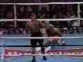 Crazy Tyson