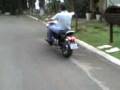 videos de amazonas pai