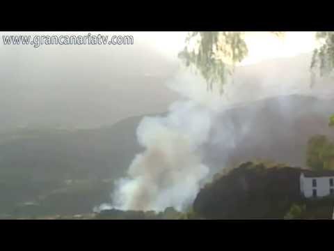 Incendio en Rosiana - Palmeral en el barranco de Tirajana
