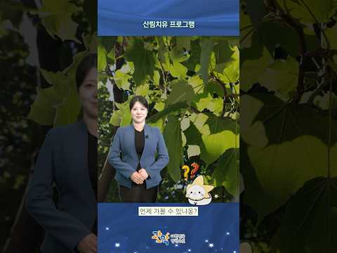 40~60대 건강관리, 관악산 숲에서 시작하세요! | [산림치유 프로그램] 참여자 모집 - 관악 별별뉴스 이미지