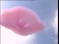 Kirby Flogos Released Into the Wild By Nintendo