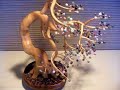 Bonsai Tree Sculpture #62 by Jim Shull