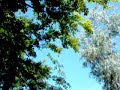 HAARPS KALEIDOSCOPE OF HOLIGRAMS