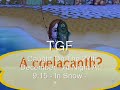Animal Crossing Lets Go To City COELACANTH!!
