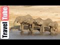 Waka Waka Part 3 (Chobe National Park Botswana ...