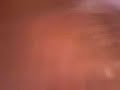 petear es humano ma