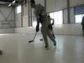 Art-Ice kunststof ijsbaan / synthetic ice skating rink