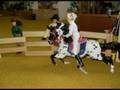 BREYER STOP MOTION