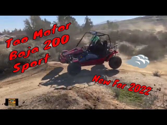 2024 BRAND NEW TAOTAO ADULT BAJA SPORT 200 DUNE BUGGY / GO KART  in ATVs in Brandon