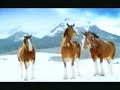 Budweiser