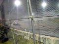 videos de Speed world 11-28-08