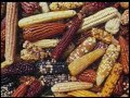 PRODUCCION AGROPECUARIA DE TAYACAJA