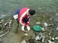 panning for gold