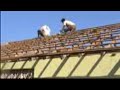 Renovatie school Pitipana