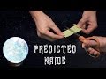 How to make a prediction - Predicted name